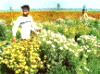 Punjab Village Tour, Punjab Rural Tour, Punjab Homestay Tour