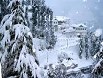 Delhi Himachal Tours