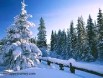 Amritsar Himachal Tours, Amritsar Himachal Tour Packages, Amritsar Dalhousie Dharamshala Shimla Tours, Punjab Himachal Tour Packages 