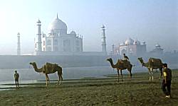 Taj Mahal Tours, Taj Mahal Tour Packages, Taj Mahal Agra Tours,  Delhi Taj Mahal Tours, Delhi Agra Tours