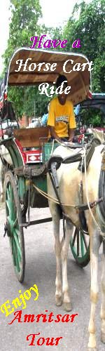 Amritsar Tour,  Wagah border Tour, Amritsar Sight seeing